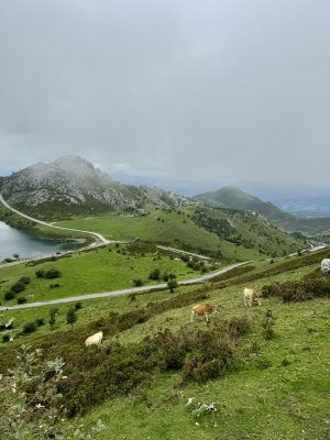 Picos de Europa